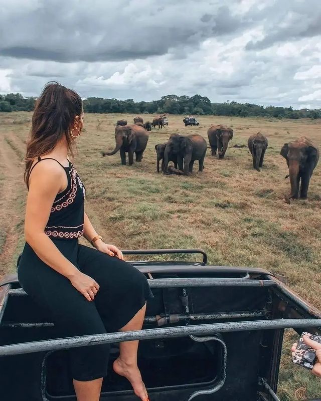 TOUR GALLERY